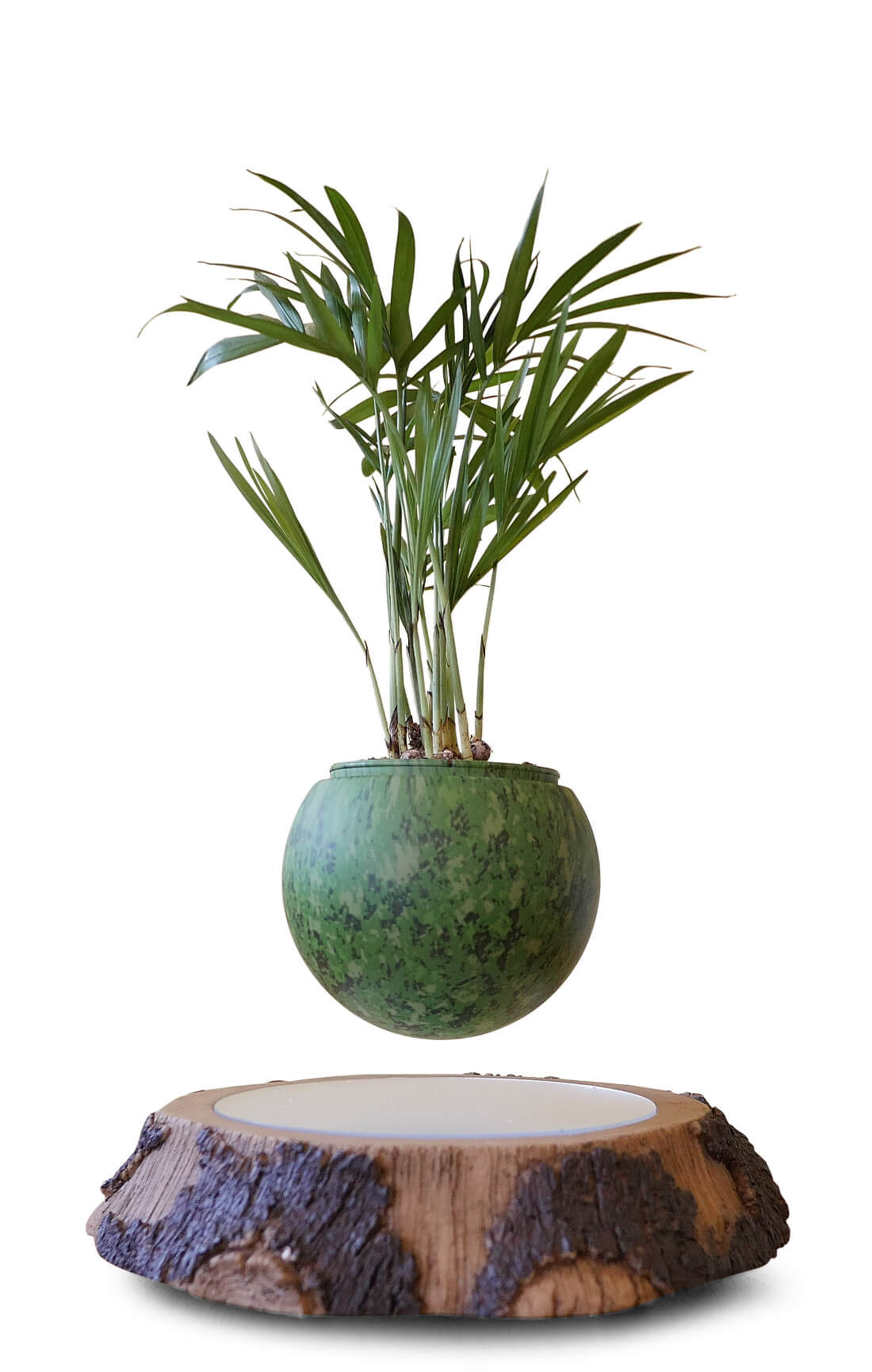 Air Bonsai Fliegende Bäume im Wohnzimmer